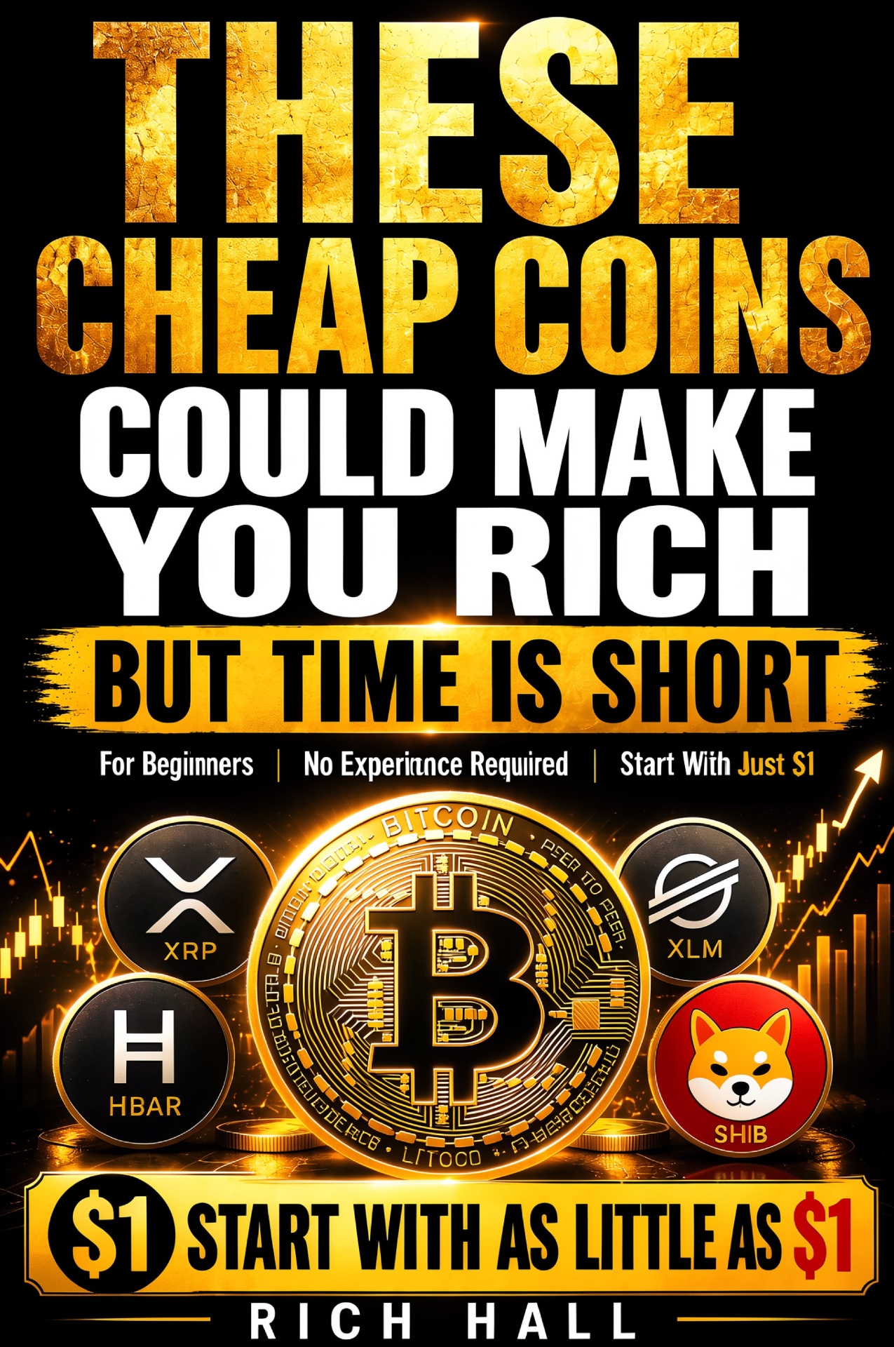 These Cheap Coins Could Make You Rich... But Time Is Short — A Beginner's Guide to Low-Cost Cryptocurrency Investing by Rich Hall